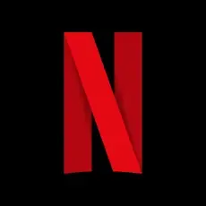 Netflix Icon